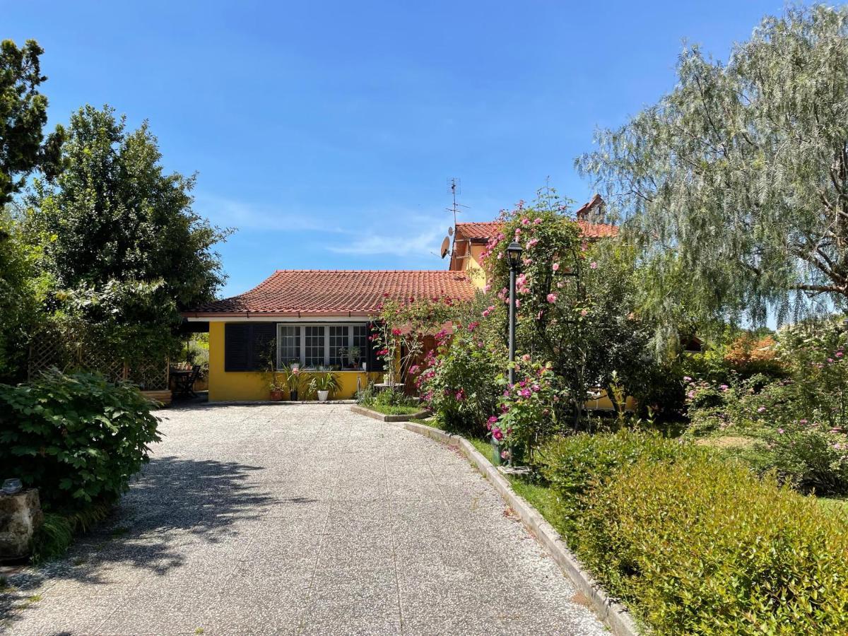 Home Sweet Home Gallicano nel Lazio 外观 照片